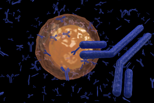Autoimmunenzephalitis – Ursachen und Therapie