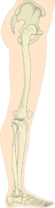 Knochenödem am Fuß – Ursachen und Therapie