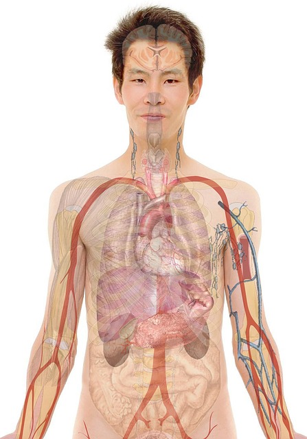 Budd Chiari Syndrom – Ursachen, Diagnostik und Therapie