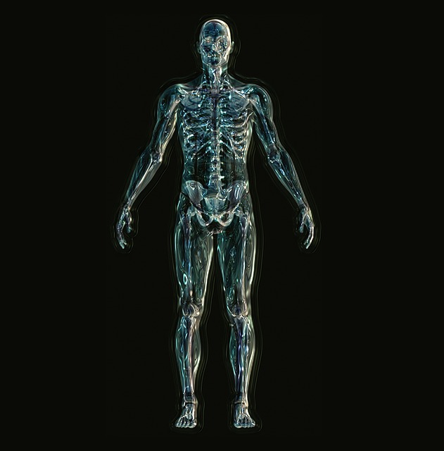 Ductus Thoracicus – Verlauf und Funktion
