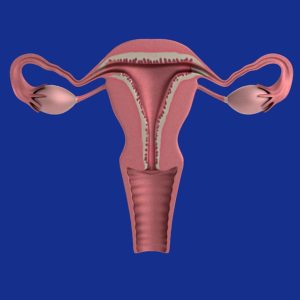 Gebärmutterhalsentzündung – Symptome und Ursachen