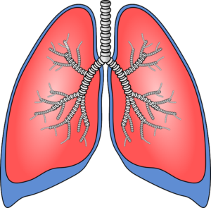 Respiratorische Azidose – Ursachen, Folgen und Therapie 