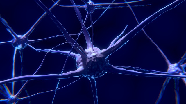 Anticholinerges Syndrom – Symptome, Therapie und Prognose