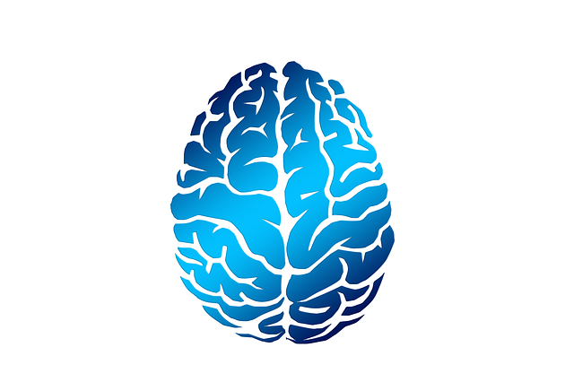 Hirnorganisches Psychosyndrom – Ursachen, Symptome, Therapie und Behandlung