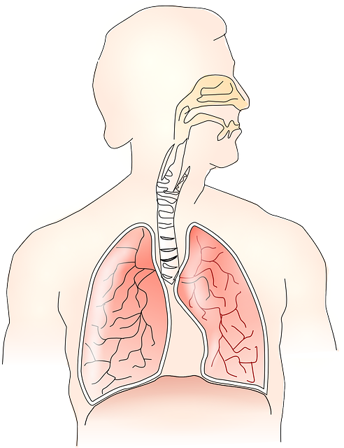 Kussmaul Atmung – Definition, Symptome und Ursachen