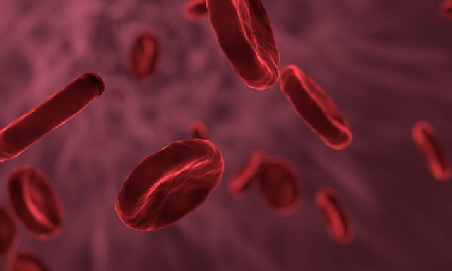 Sphärozytose – Symptome, Diagnose und Behandlung