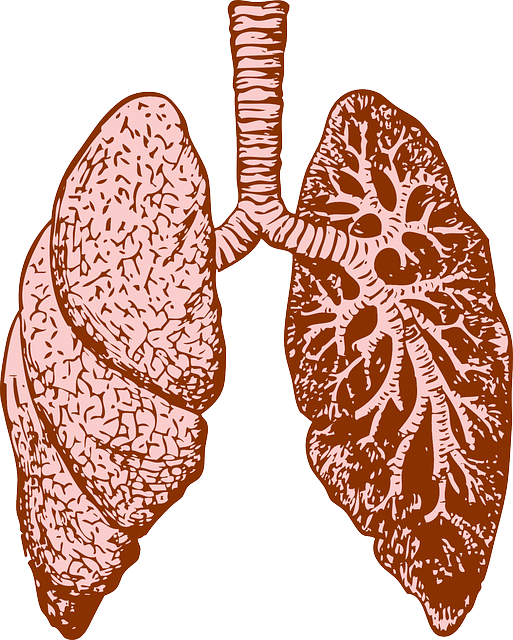 Wegener Granulomatose – Definition, Symptome, Behandlung und Therapie
