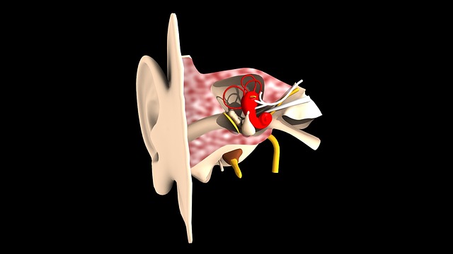 Neuropathia Vestibularis – Diagnose, Ursachen und Therapie