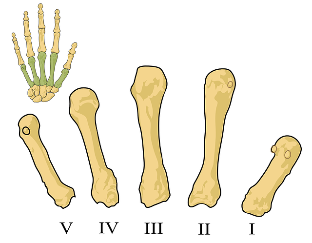 Sharp Syndrom – Ursachen, Symptome, Therapie und Prognose