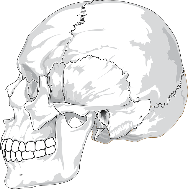 Sinus Sphenoidalis – Anatomie, Aufbau und Funktion