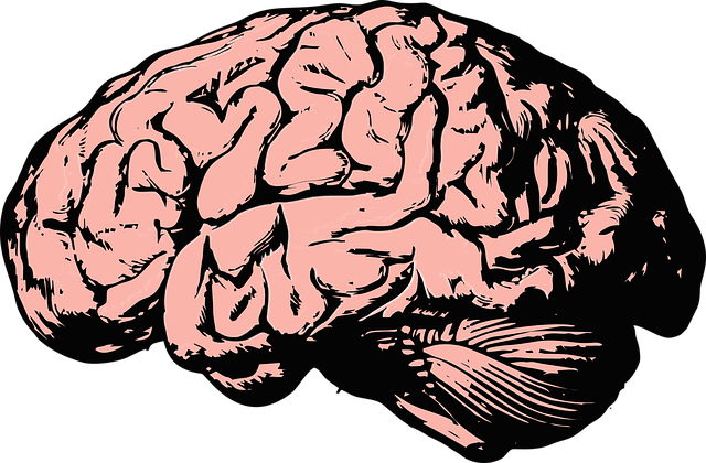 Broca Aphasie – Symptome, Ursachen und Heilungschancen