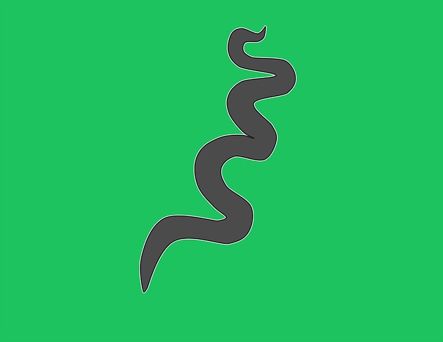 Condylomata Lata Definition, Symptome und Therapie