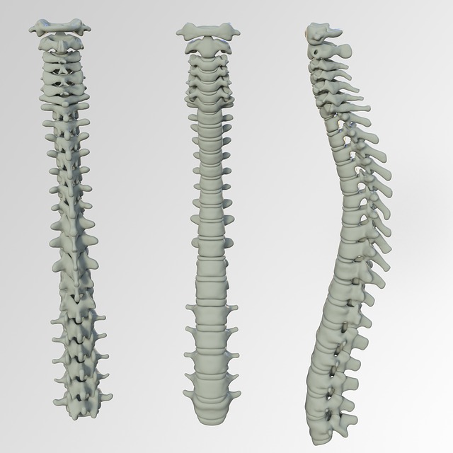 Myelitis – Ursachen, Symptome, Therapie und Diagnose