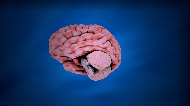 Wallenberg Syndrom – Symptome, Diagnose und Therapie