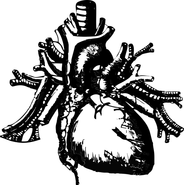 Dilatation