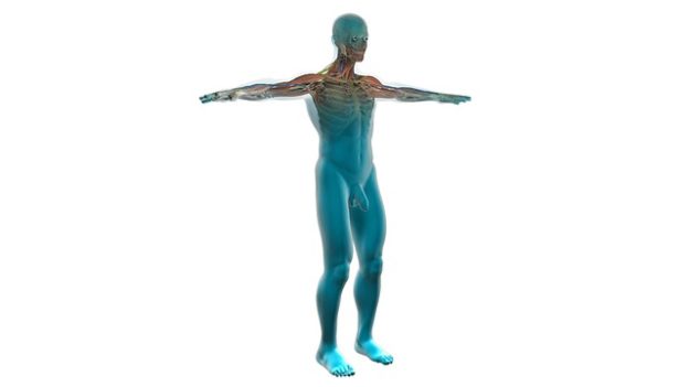 Disloziert