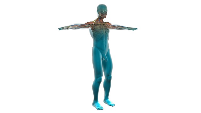Disloziert