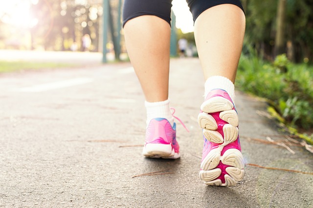 Peroneussehne – Definition, Anatomie und Symptome bei Verletzungen