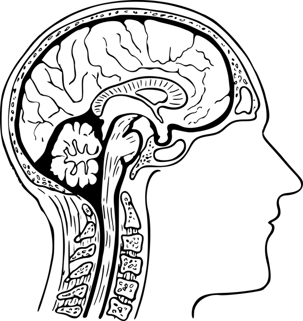 Pyramidenbahnzeichen