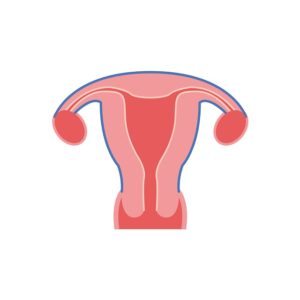 Vergrößerte Gebärmutter – Anzeichen und Ursachen