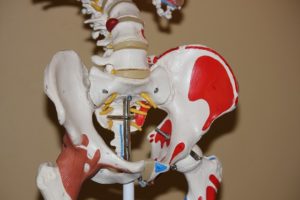 Spina iliaca anterior superior