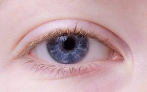 Trockene Augenlider – Ursachen und Möglichkeiten zur Behandlung