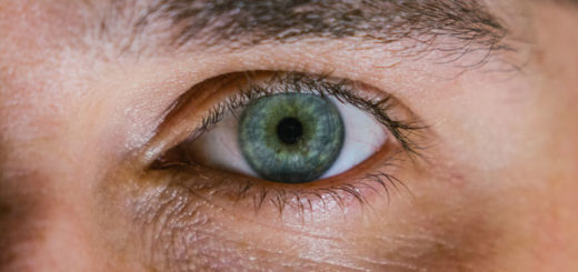 Ein gesundes Auge ohne Symptome einer Hornhauttrübung